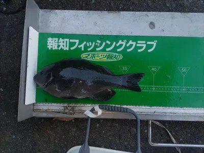 マルヒサ渡船の2022年1月24日(月)2枚目の写真