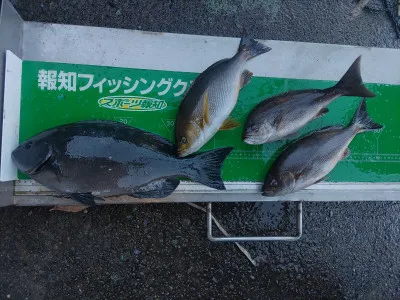 マルヒサ渡船の2022年1月24日(月)3枚目の写真