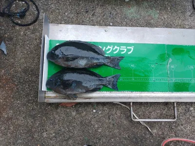 マルヒサ渡船の2022年1月25日(火)3枚目の写真