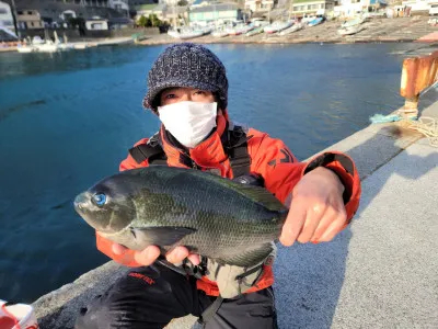 すさき丸の2022年1月29日(土)3枚目の写真