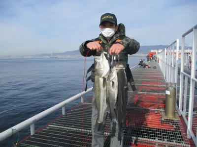 尼崎市立魚つり公園の2022年2月12日(土)3枚目の写真