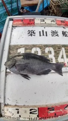 築山渡船の2022年2月14日(月)3枚目の写真