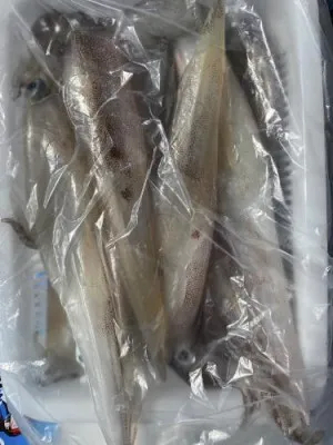 大栄丸の2022年2月9日(水)4枚目の写真