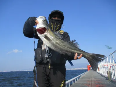 尼崎市立魚つり公園の2022年2月27日(日)1枚目の写真