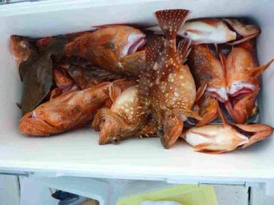 Fishing MOLA MOLAの2022年2月28日(月)1枚目の写真