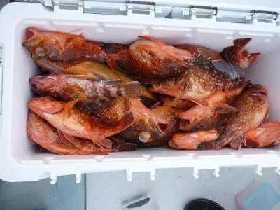 Fishing MOLA MOLAの2022年2月28日(月)2枚目の写真