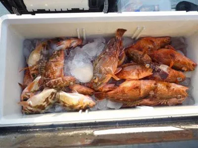 Fishing MOLA MOLAの2022年2月28日(月)3枚目の写真