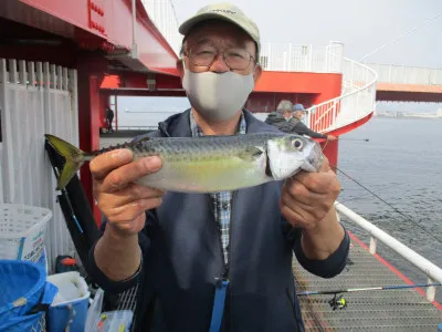 尼崎市立魚つり公園の2022年3月13日(日)2枚目の写真