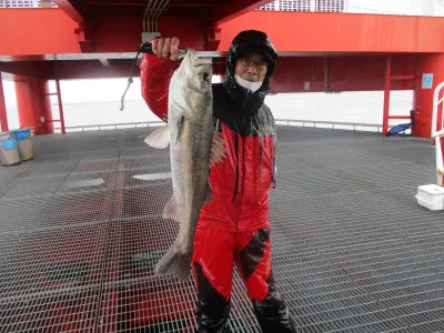 尼崎市立魚つり公園の2022年3月18日(金)2枚目の写真