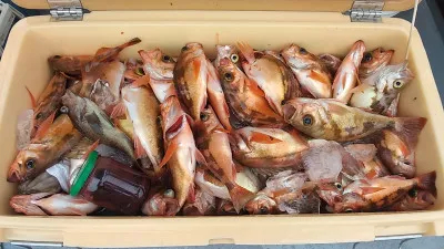 遊漁船ビックボーイの2022年4月13日(水)3枚目の写真