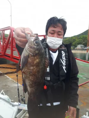 釣り船くわだの2022年4月23日(土)2枚目の写真