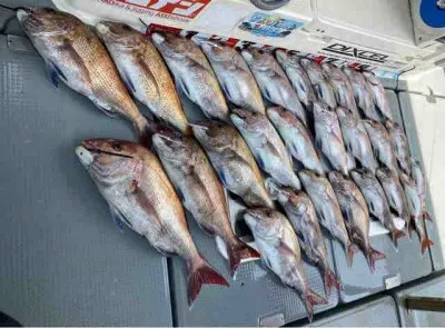 Seto Marineの2022年4月19日(火)1枚目の写真