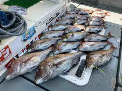Seto Marineの2022年4月22日(金)2枚目の写真