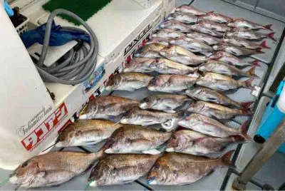 Seto Marineの2022年4月23日(土)1枚目の写真