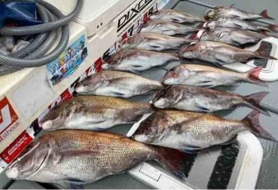 Seto Marineの2022年4月24日(日)1枚目の写真