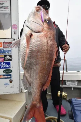 海祐丸の2022年4月30日(土)4枚目の写真