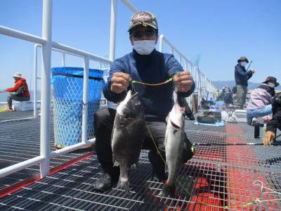 尼崎市立魚つり公園の2022年4月30日(土)4枚目の写真