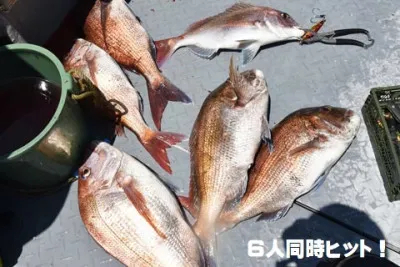 海祐丸の2022年5月7日(土)5枚目の写真