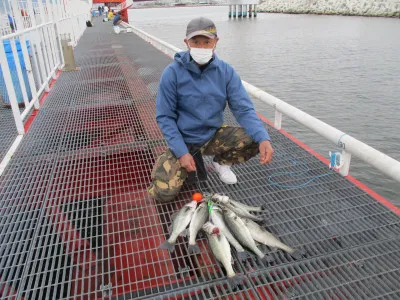 尼崎市立魚つり公園の2022年5月9日(月)2枚目の写真