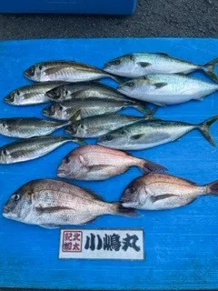 小嶋丸の2022年5月18日(水)1枚目の写真
