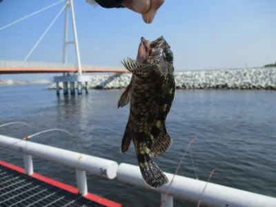 尼崎市立魚つり公園の2022年5月18日(水)2枚目の写真