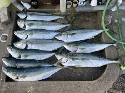 浜吉丸の2022年4月26日(火)3枚目の写真