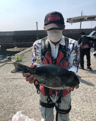 てる丸の2022年5月24日(火)2枚目の写真