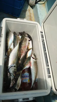 釣り船 秀進丸の2022年5月28日(土)4枚目の写真