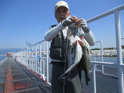 尼崎市立魚つり公園の2022年6月2日(木)3枚目の写真