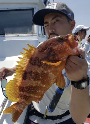 Fishing Boat P-IIIの2022年6月2日(木)3枚目の写真