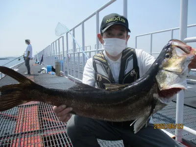 尼崎市立魚つり公園の2022年6月3日(金)1枚目の写真