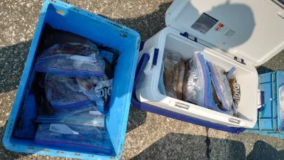 釣り船 秀進丸の2022年6月3日(金)3枚目の写真