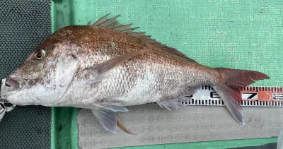 Fishing Boat P-IIIの2022年6月3日(金)5枚目の写真