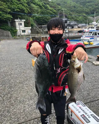 てる丸の2022年6月5日(日)1枚目の写真