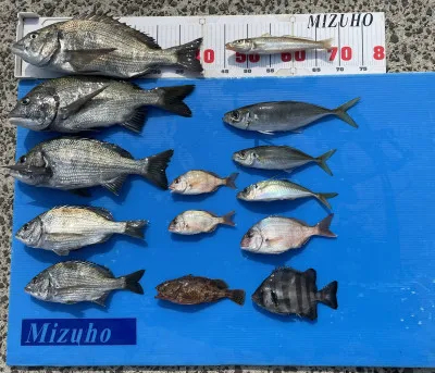 第二みずほ丸の2022年6月20日(月)1枚目の写真