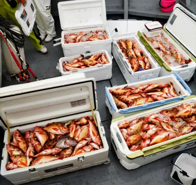 遊漁船ビックボーイの2022年6月19日(日)1枚目の写真