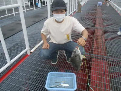 尼崎市立魚つり公園の2022年6月25日(土)2枚目の写真