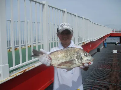 尼崎市立魚つり公園の2022年6月27日(月)2枚目の写真