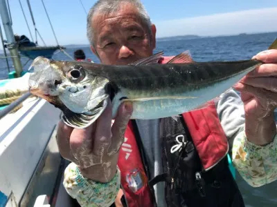 さえむ丸の2022年6月28日(火)2枚目の写真