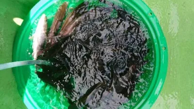 新徳丸の2022年6月29日(水)3枚目の写真