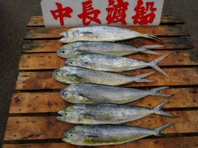 中長渡船の2022年7月2日(土)5枚目の写真