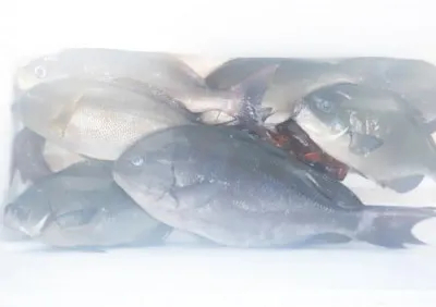 丸銀釣りセンターの2022年7月1日(金)5枚目の写真