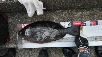 美代志丸の2022年7月2日(土)2枚目の写真