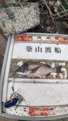 築山渡船の2022年7月10日(日)1枚目の写真