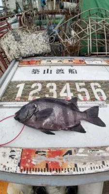 築山渡船の2022年7月10日(日)3枚目の写真