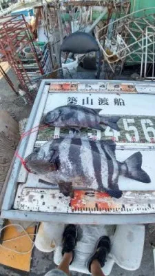 築山渡船の2022年7月23日(土)1枚目の写真