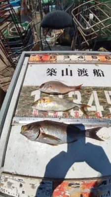 築山渡船の2022年7月23日(土)3枚目の写真