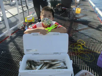 尼崎市立魚つり公園の2022年7月24日(日)3枚目の写真