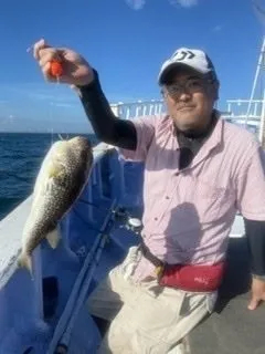 不動丸の2022年7月25日(月)5枚目の写真
