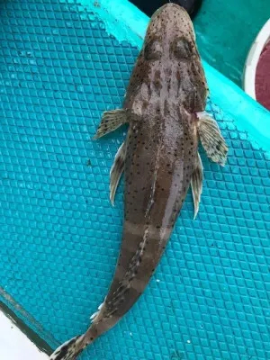 さえむ丸の2022年7月27日(水)4枚目の写真